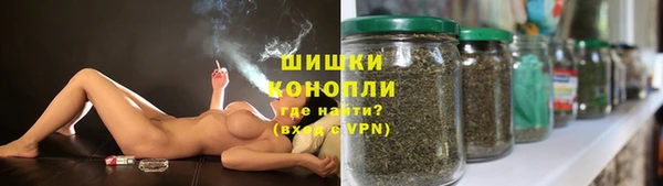 дживик Зерноград