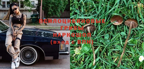 хмурый Гусиноозёрск
