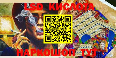 прущие грибы Гагарин