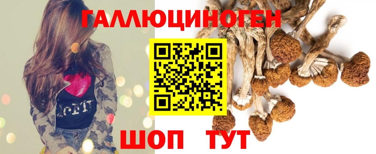 Галлюциногенные грибы Psilocybe Белорецк