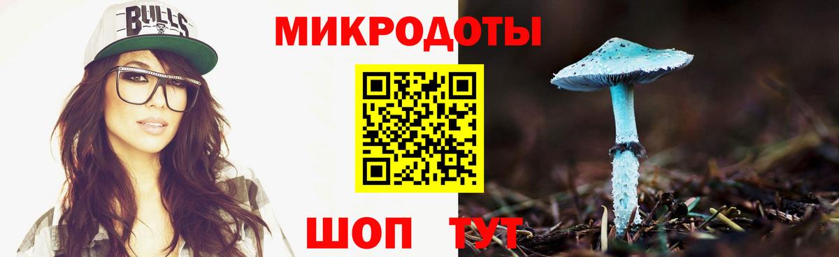 как найти   Белорецк  Галлюциногенные грибы Psilocybe 